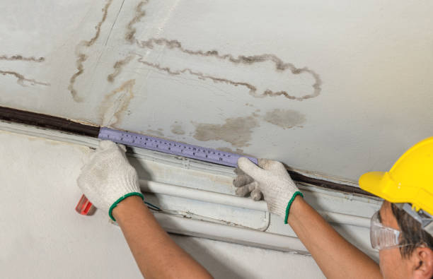 Reliable Mold Remediation contractor in Falkland, NC by Water Damage Irwin